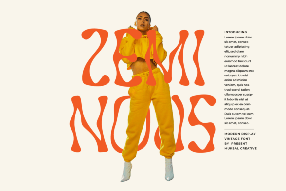 Zeminous: A Retro Display Font with Timeless Character